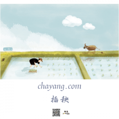 chayng.com